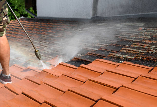 Best House Pressure Washing  in Chamberlain, SD