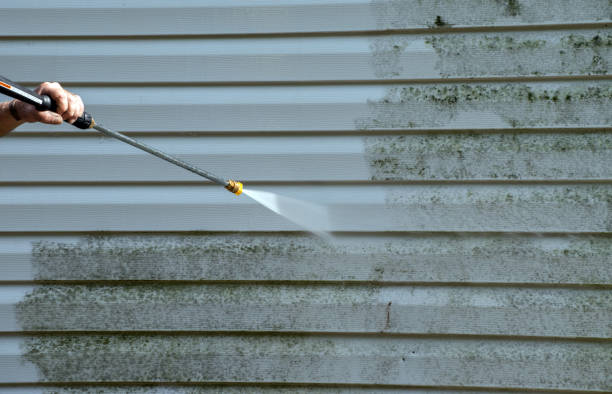 Best Pressure Washing Services Near Me  in Chamberlain, SD